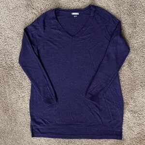 Smartwool Women's Deep Purple V-Neck Sweater